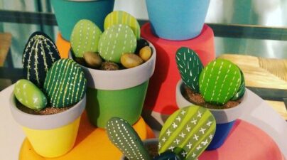 mini jardin cactus