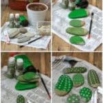 mini jardin cactus