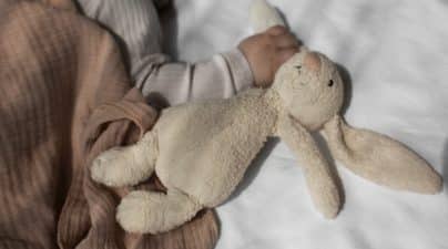 l’enfant et son doudou